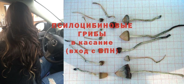 таблы Покачи