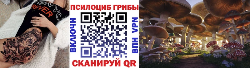 Псилоцибиновые грибы Psilocybe  Тулун 